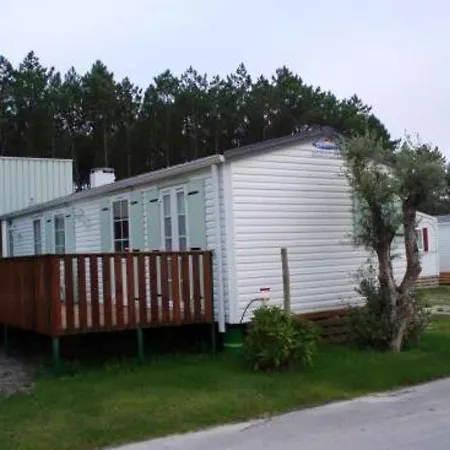 Comfortable Near With Shared Pool פטיאס